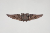 USCG Auxiliary pilot wings device unknown version - front